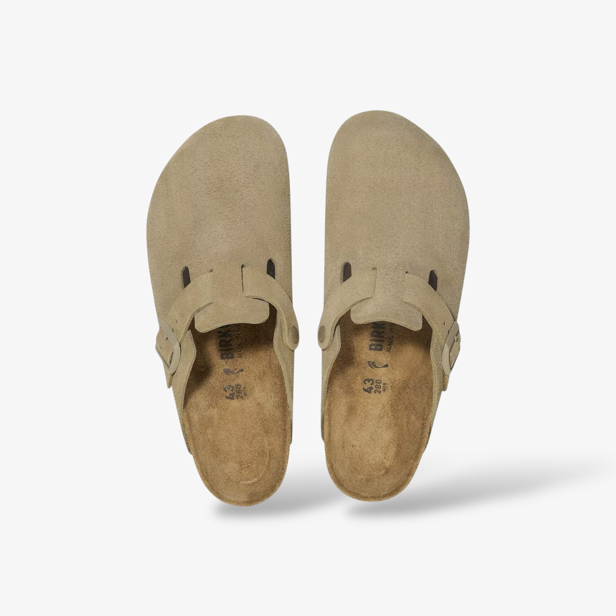 Boston Kaki